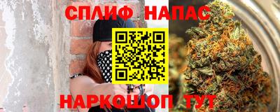 хмурый Новозыбков