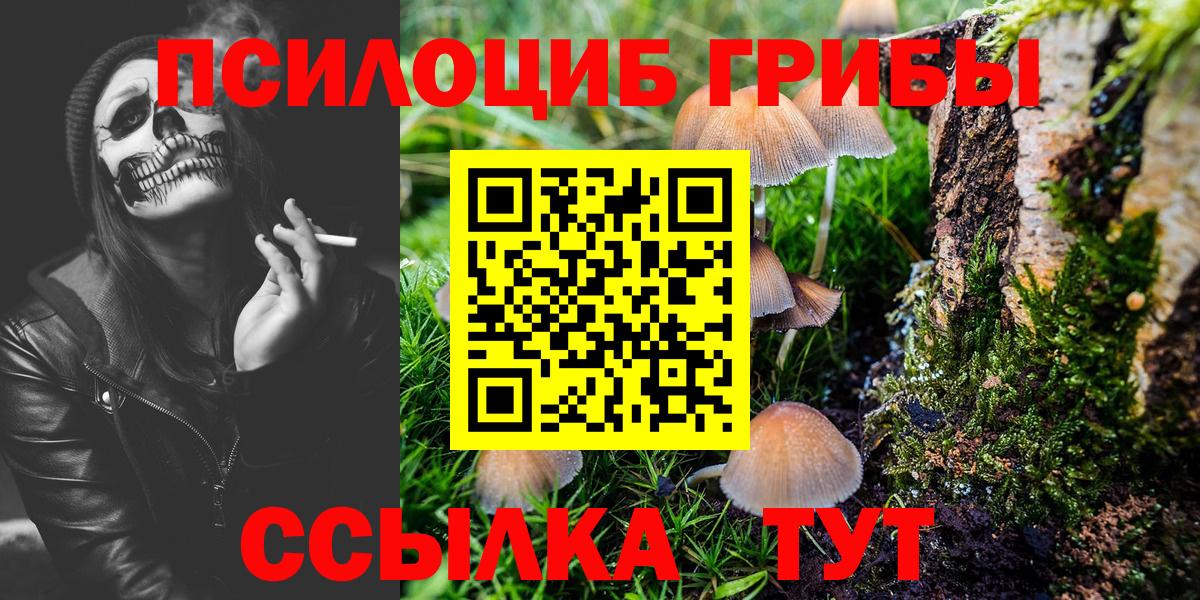 Чайковский  Галлюциногенные грибы мухоморы  Вход с VPN 